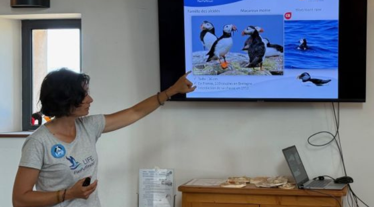 Conférence : Mieux connaître les oiseaux marins